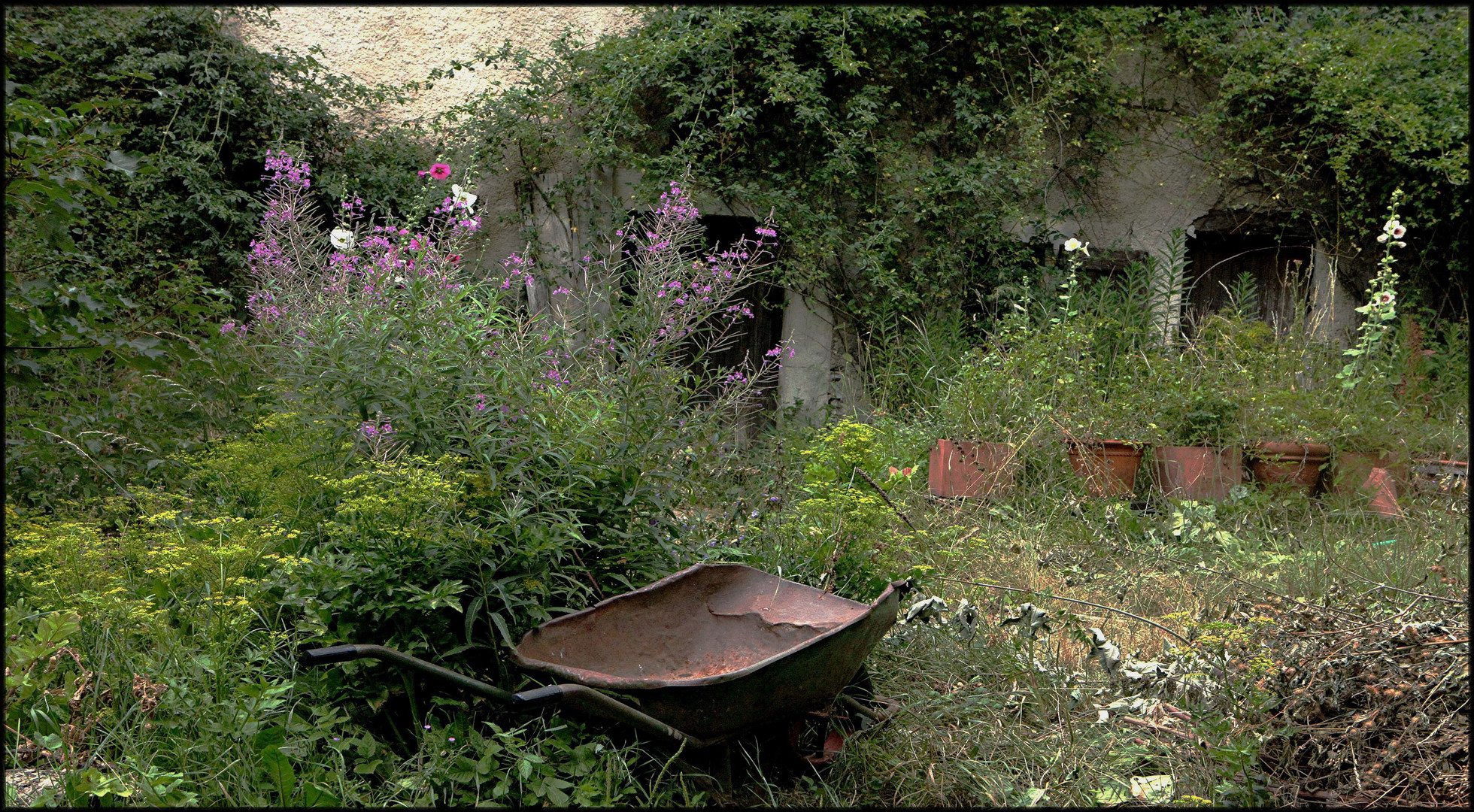 MONTAGNE DE LURE LE JARDIN DE L