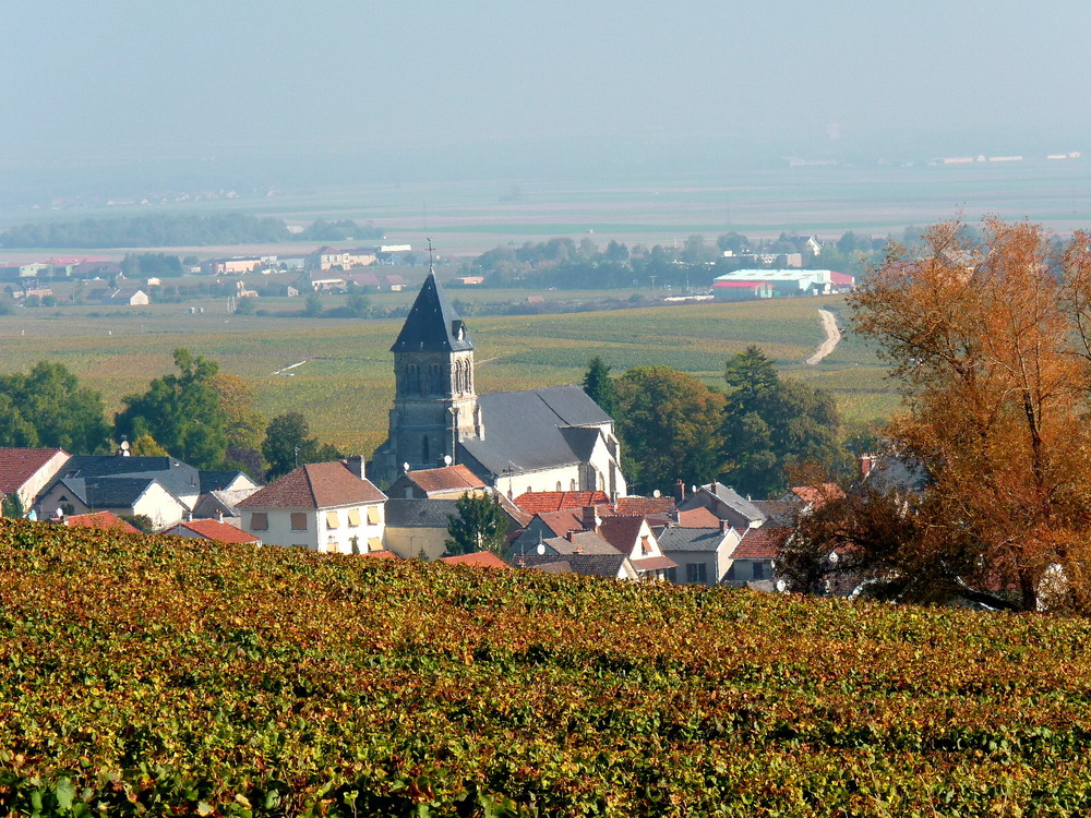 Montagne de Reims