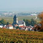 Montagne de Reims