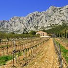 Montagne de Victoire, nahe Aix en Provence.