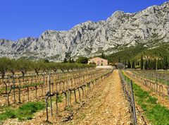 Montagne de Victoire, nahe Aix en Provence.