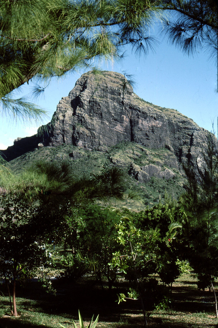 Montagne du lion