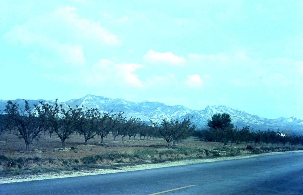 Montagne du Lubéron - 1966