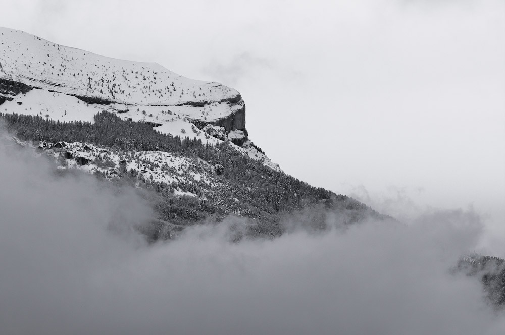 Montagne et brume