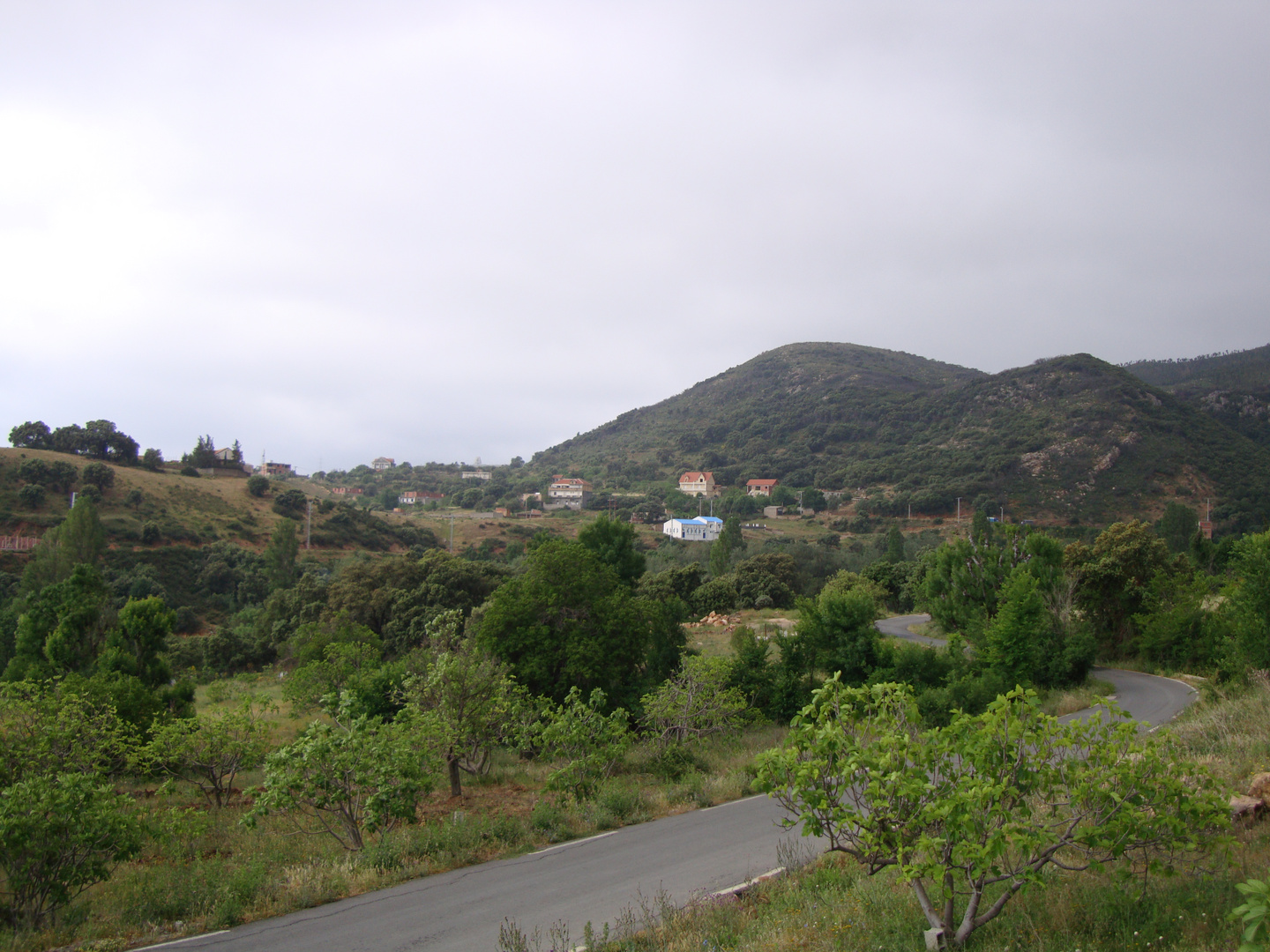 montagne - kabylie