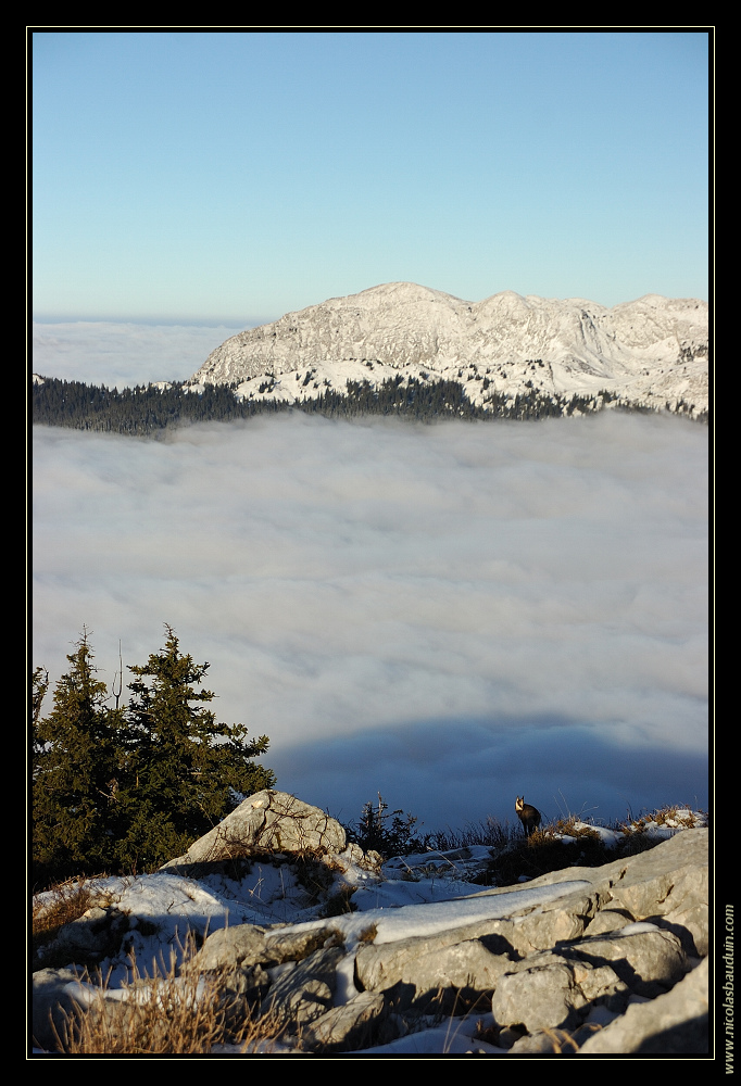 Montagne, Nuages, ciel bleu, chamois - novembre 2007