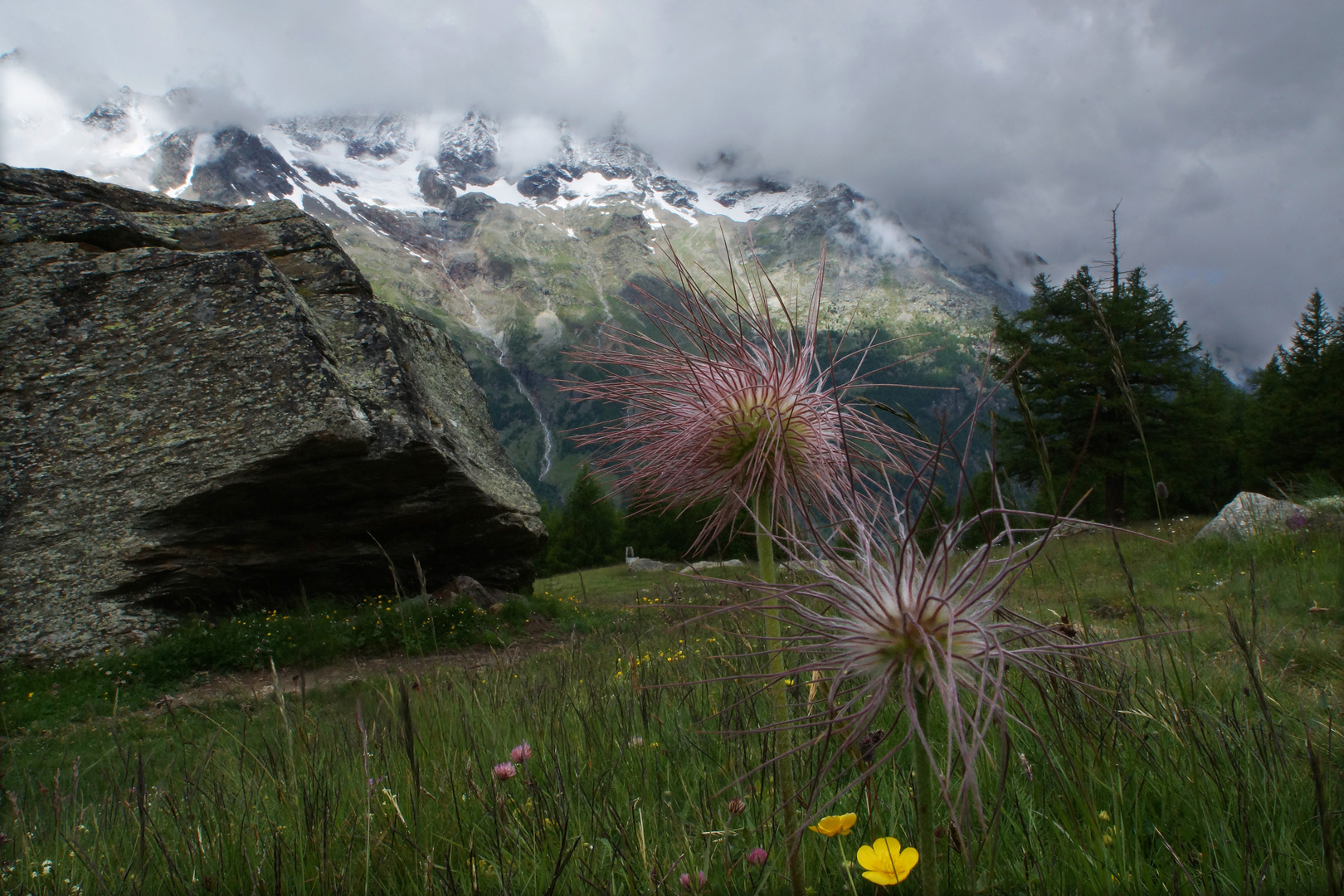 Montagne valaisanne.