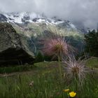 Montagne valaisanne.