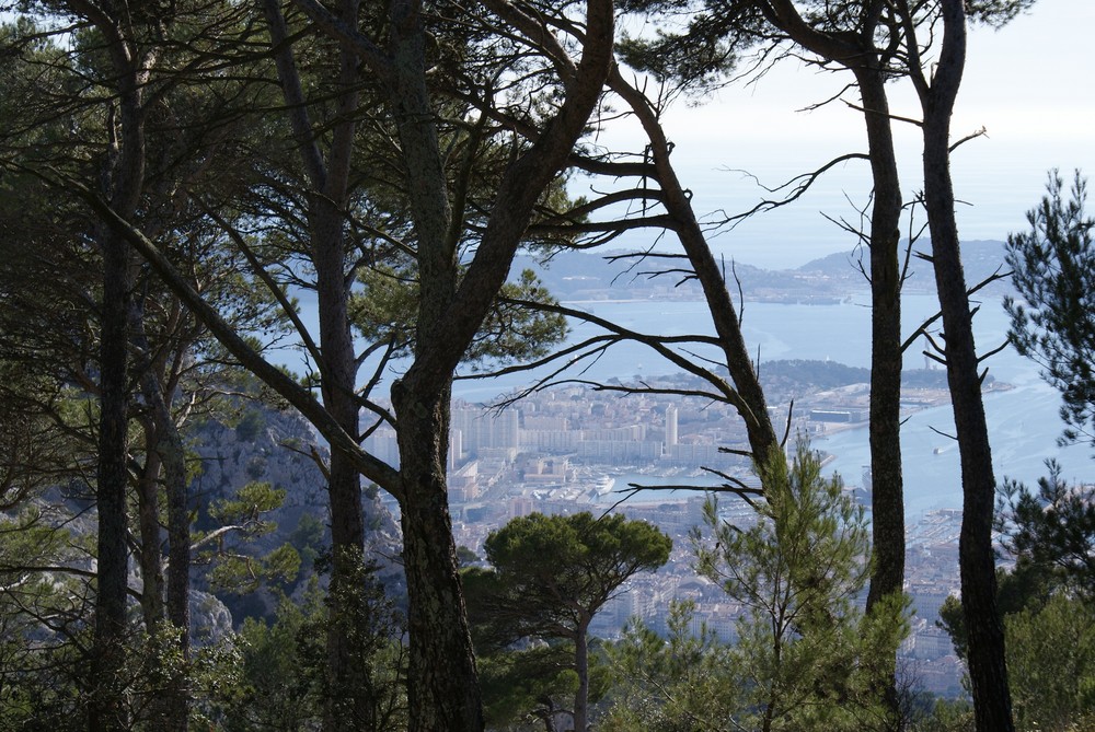 Montagne,campagne,ville et mer.