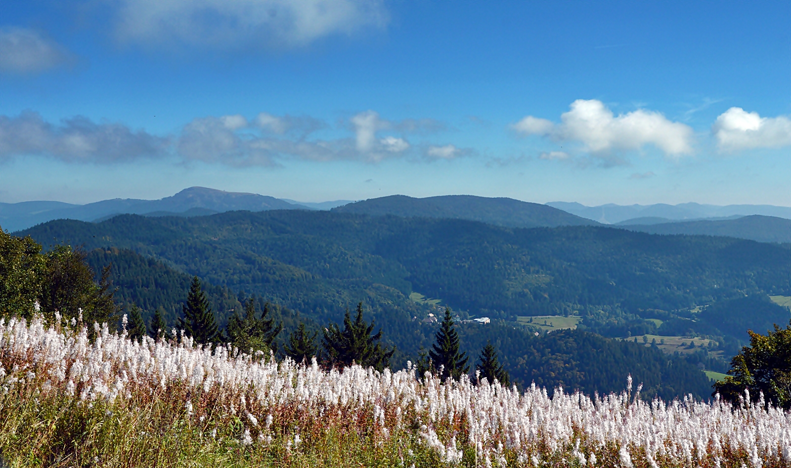 Montagnes de la forêt noire ~~~ Schwarzwaldberge