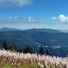 Montagnes de la forêt noire ~~~ Schwarzwaldberge