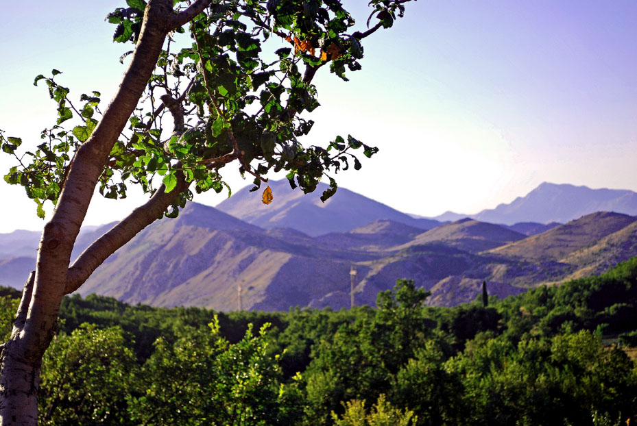 Montagnes en Dalmatie