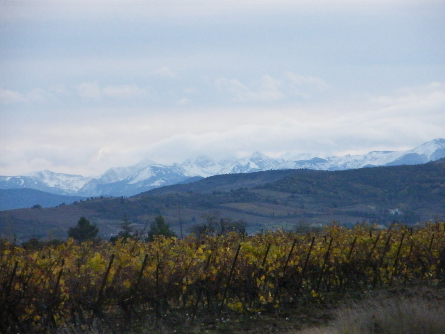 montagnes enneigées