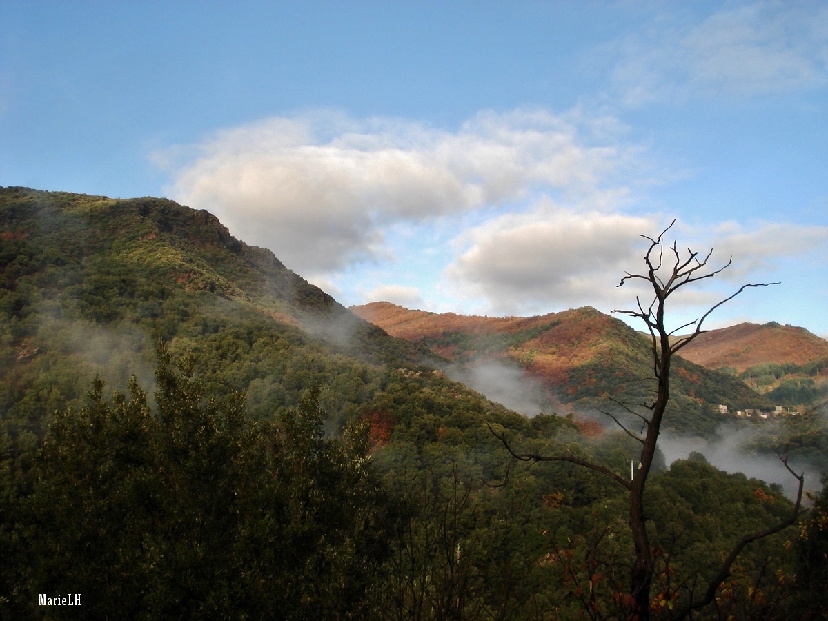 Montagnes entre St André de Valborgne et Florac