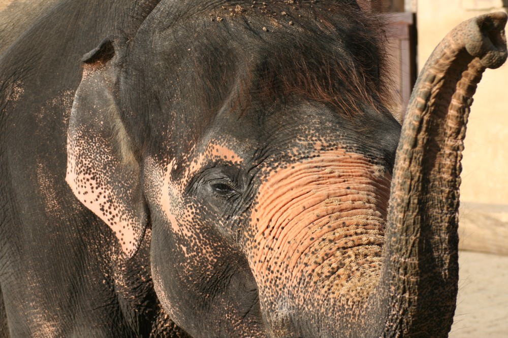 Montags im Zoo - Begrüßung