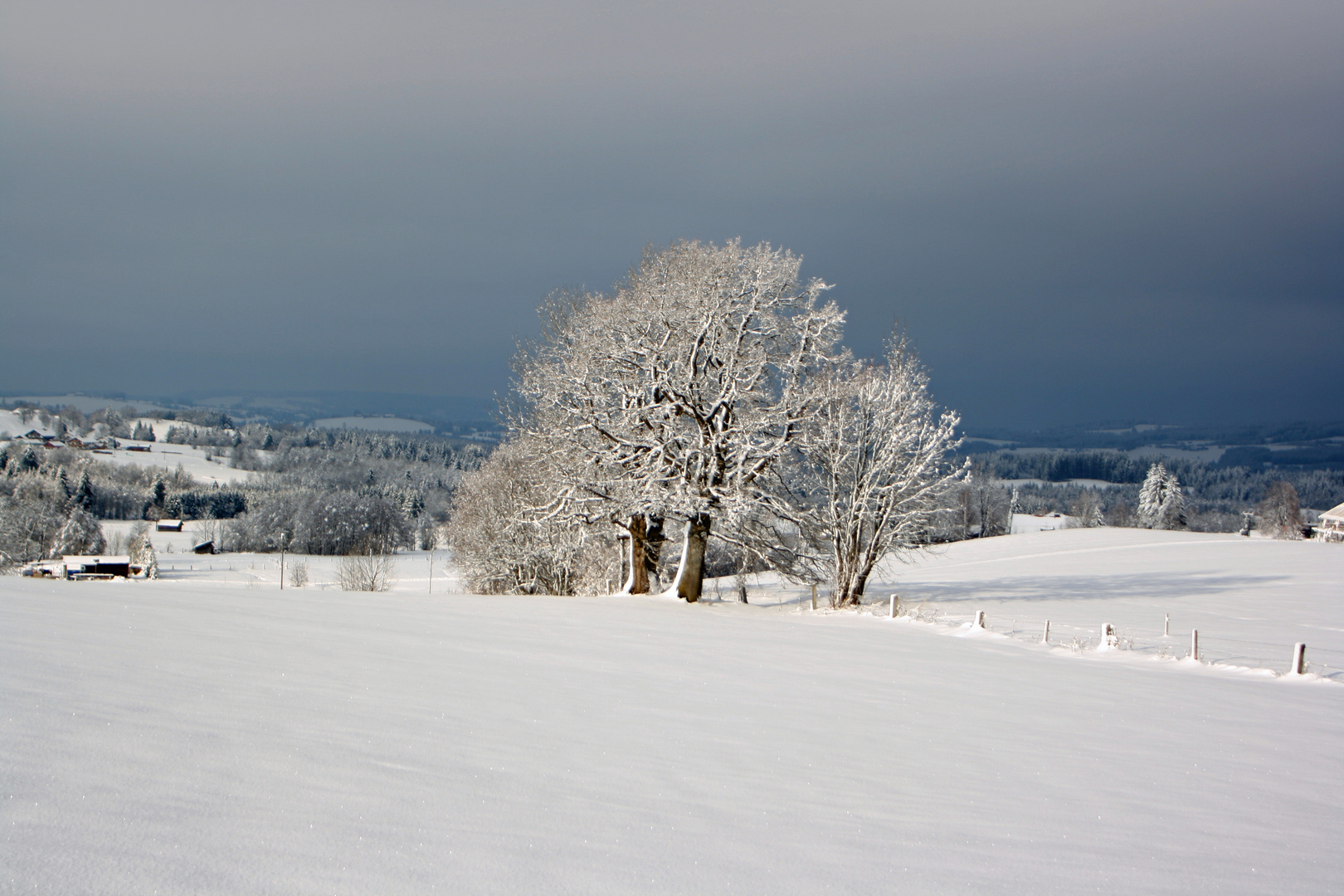 Montagsblau