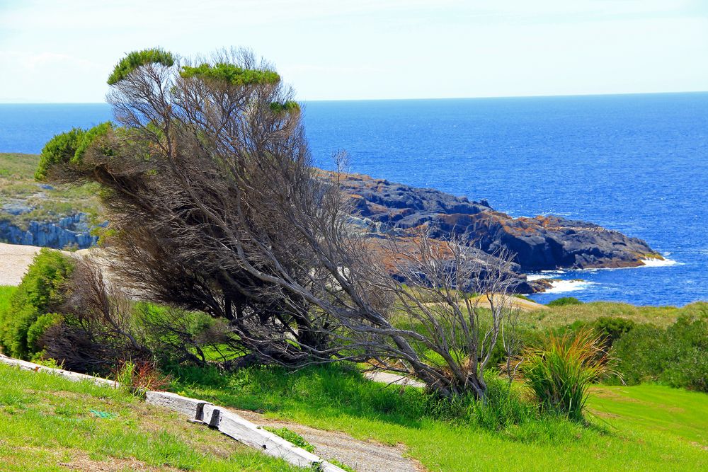 Montague Island Australia von coresun 