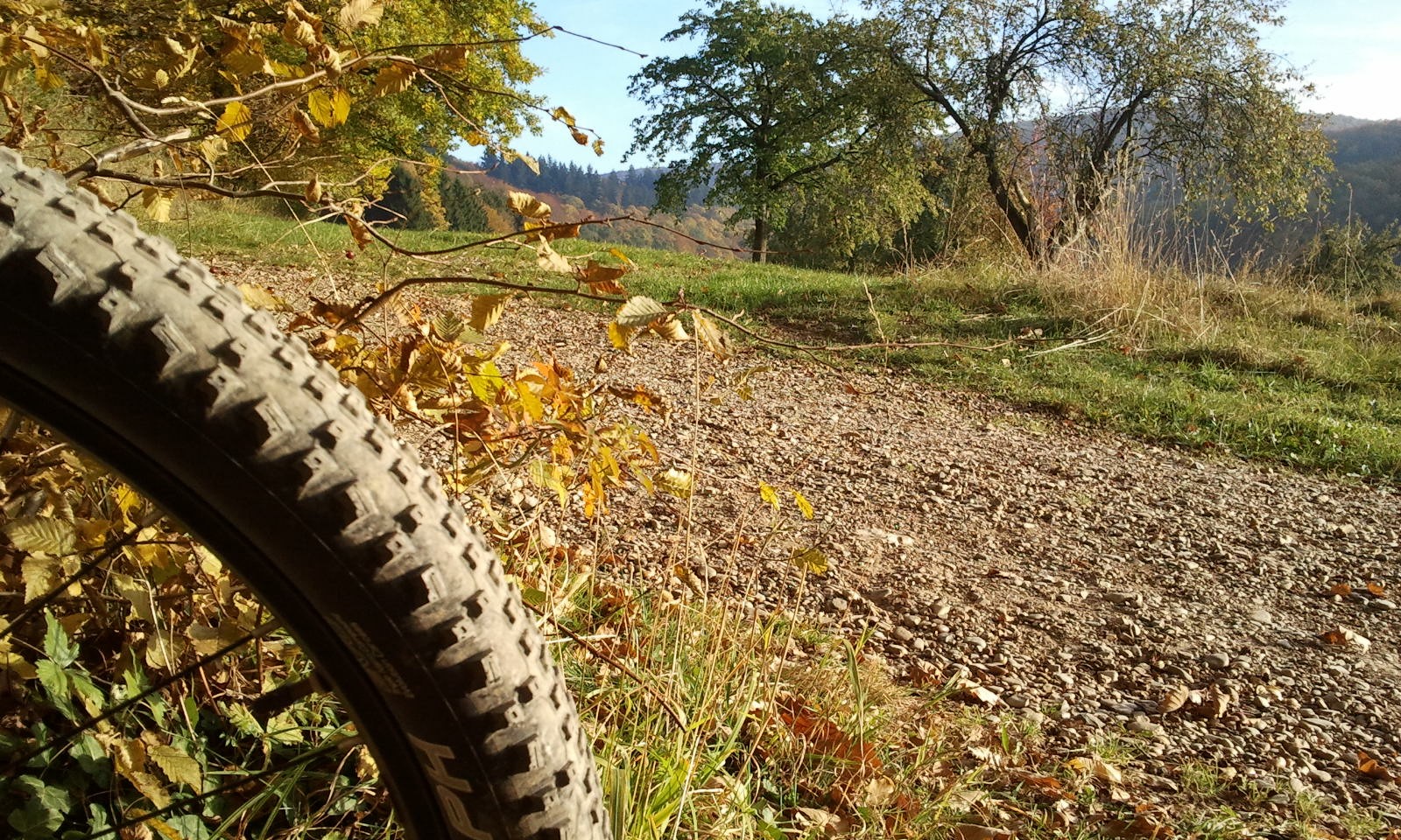 Montainbike im Herbst