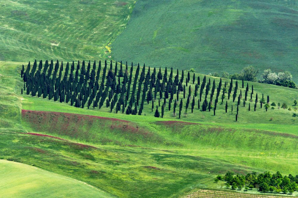 Montalcino 1 Foto & Bild europe, italy, vatican city, s marino, italy