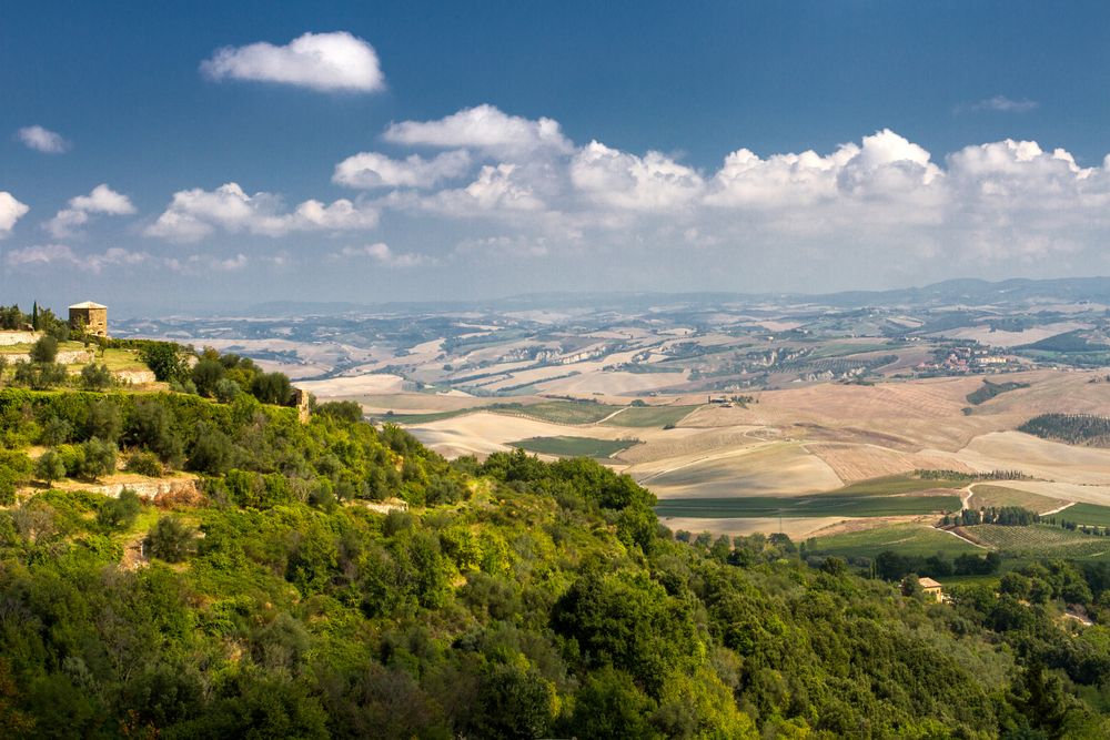 Montalcino 3