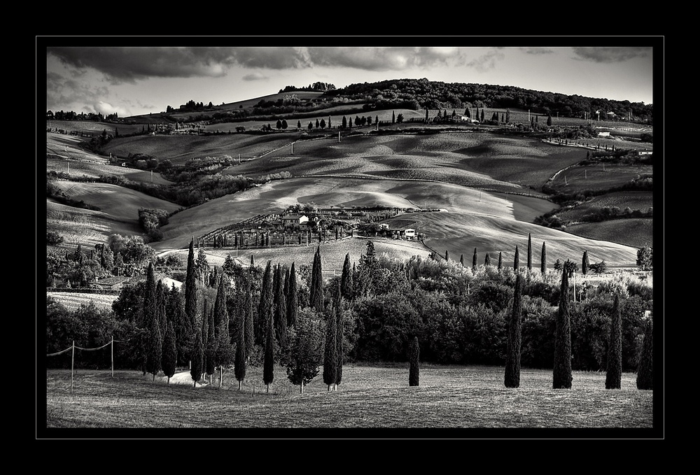 MONTALCINO