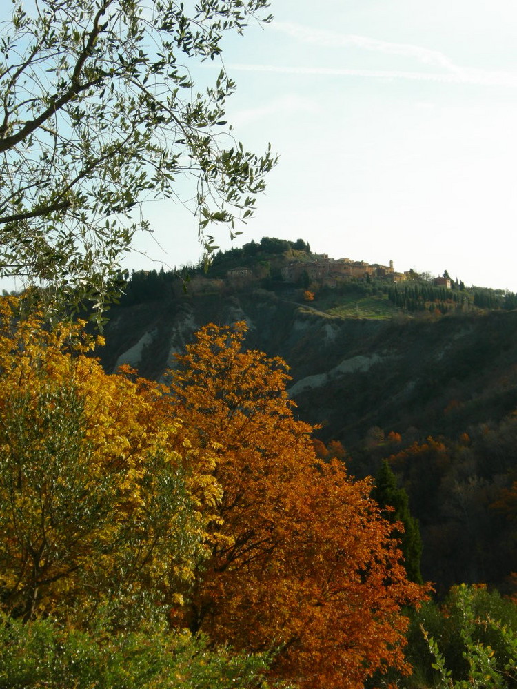 montalcino