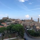 Montalcino Pano