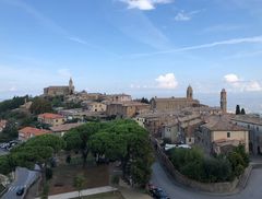 Montalcino Pano