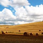 Montalcino (per l` ultima volta)...