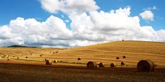 Montalcino (per l` ultima volta)...