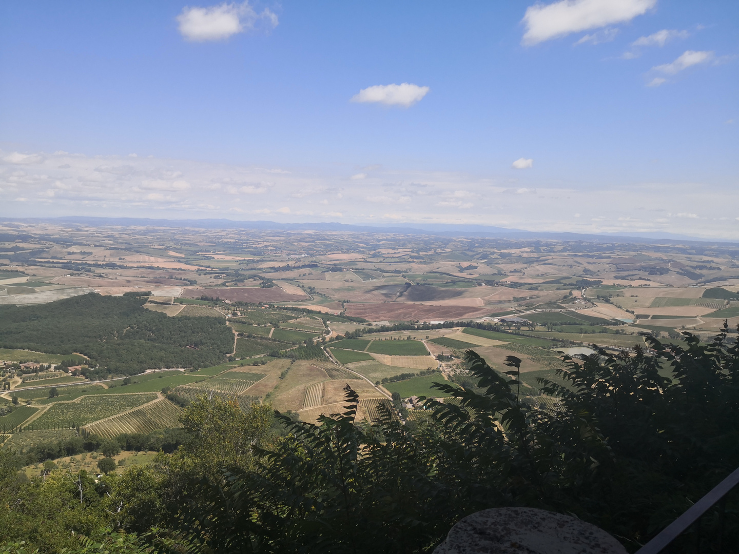 Montalcino valley