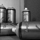 Montana Cans