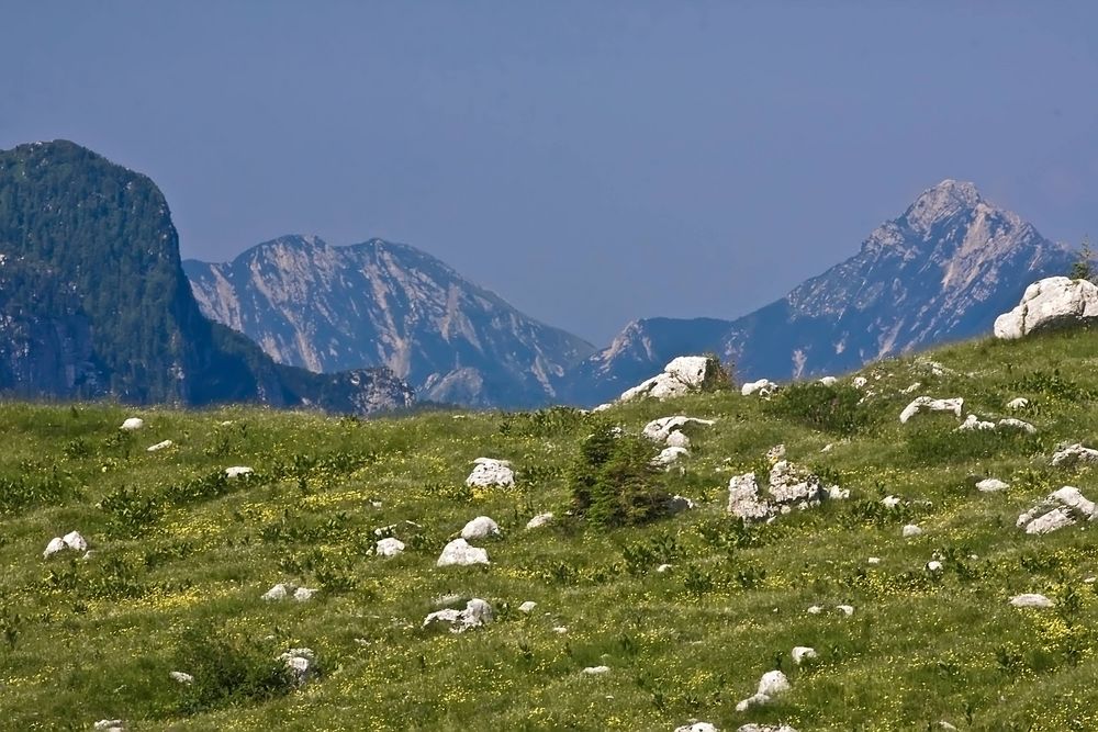 Montasch - Alm in den Julischen Alpen