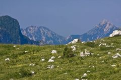 Montasch - Alm in den Julischen Alpen