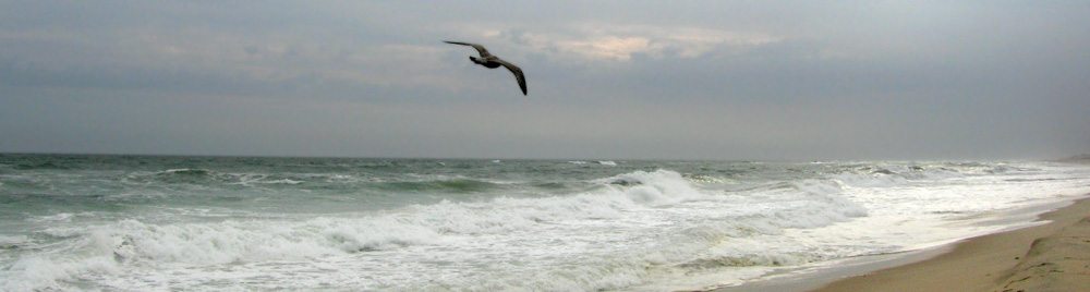 Montauk Beach II, Long Island