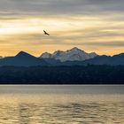 Montblanc sur le Lac Léman