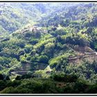 Monte Albano