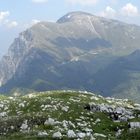 monte altissimo