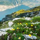 Monte Altissimo am Gardasee