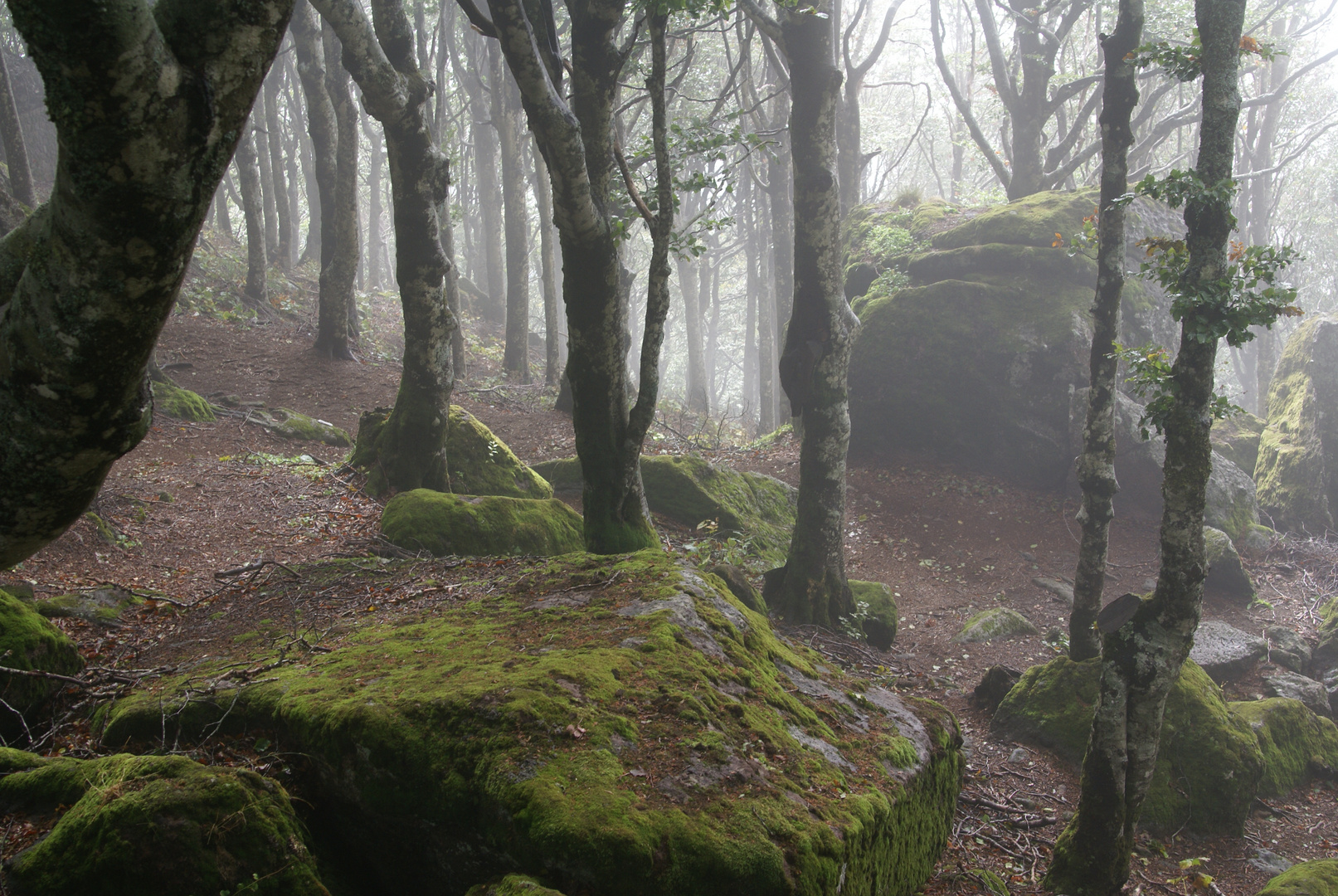 Monte Amiata, Toscany, Toskana