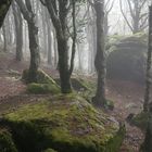 Monte Amiata, Toscany, Toskana