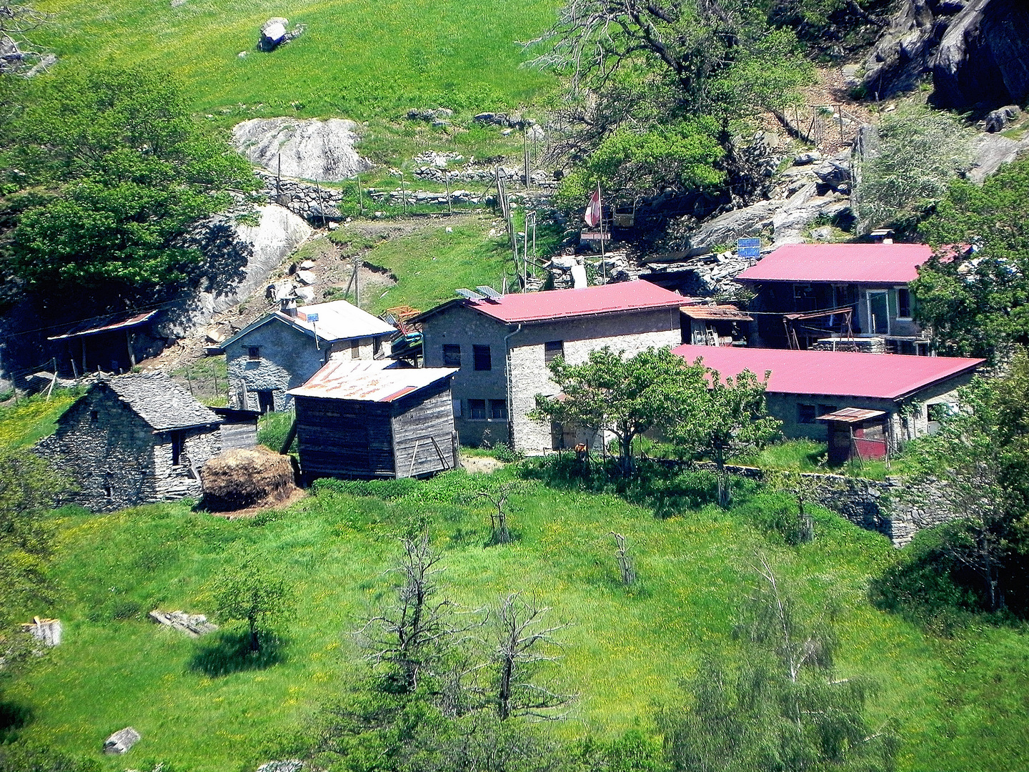 Monte Aragno Azienda agricola di famiglia Arbedo Ticino