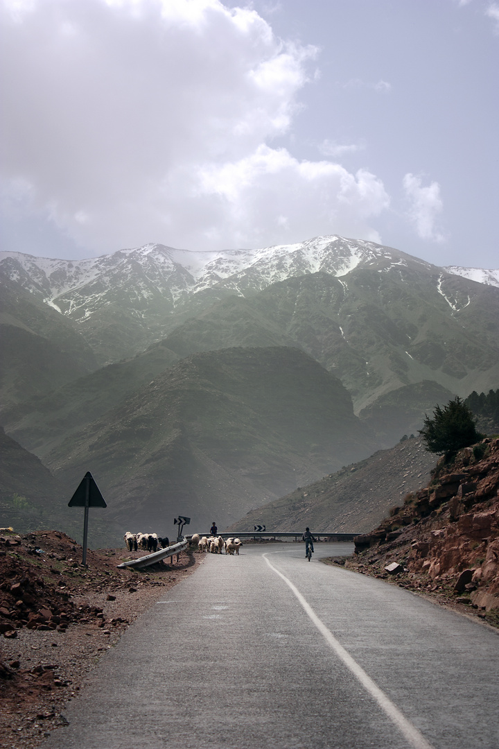 Monte Atlas