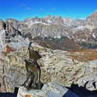 Monte Averau mit Lagazoi und Fanes Gipfel,