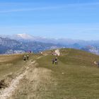 Monte Baldo