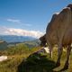 Monte Baldo, Gardasee