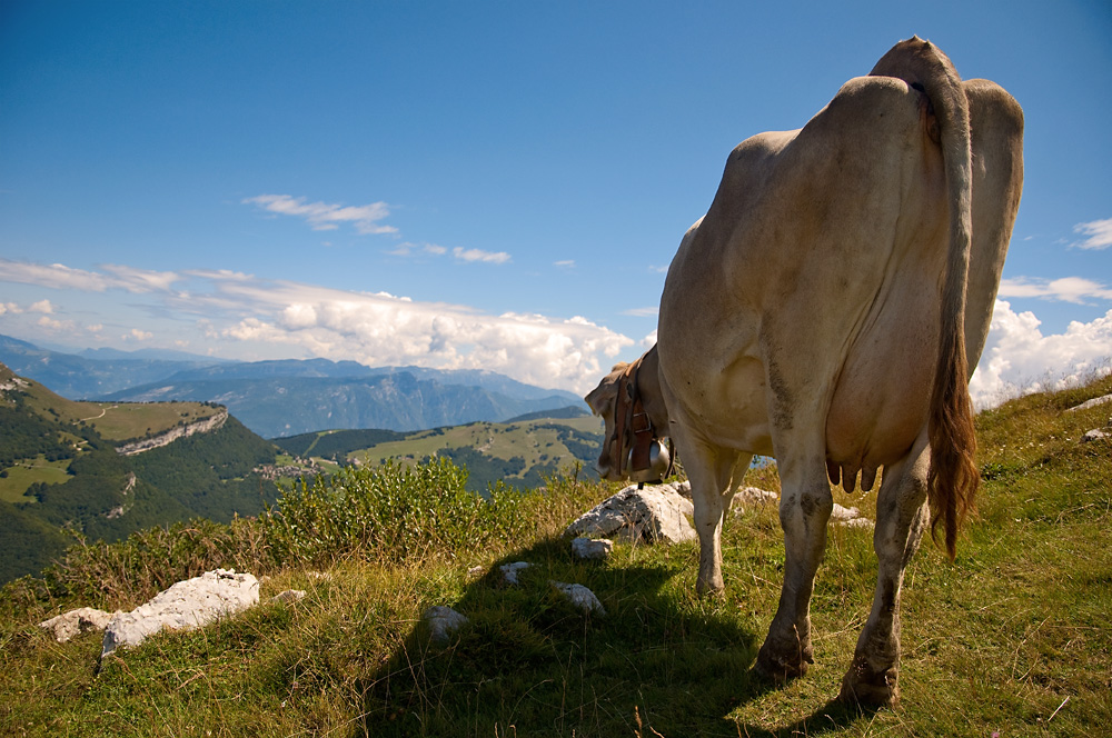 Monte Baldo, Gardasee by Dirk Jonas 