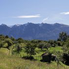 Monte Baldo II