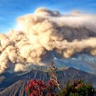 Monte Bromo in Action 2