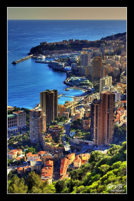 Monte Carlo